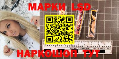 ALPHA PVP Бердск