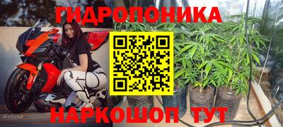 ALPHA PVP Бердск
