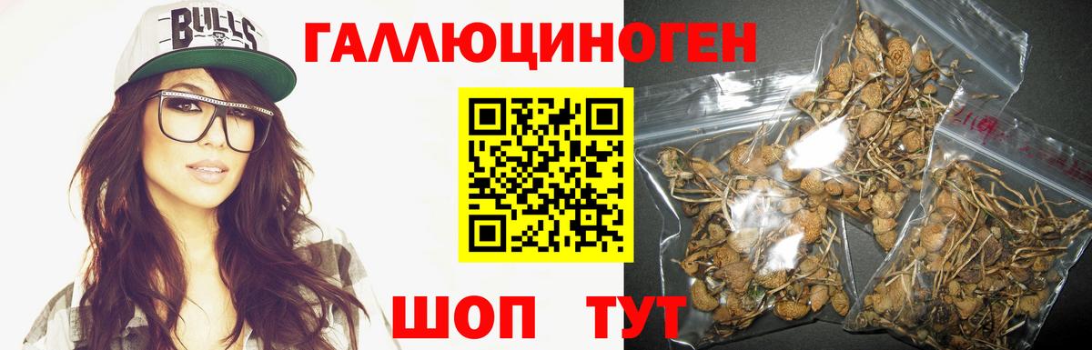 Свободный  Галлюциногенные грибы мухоморы  Вход с VPN  Псилоцибиновые грибы GOLDEN TEACHER 
